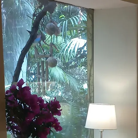 Vivelorural Casita Vintage,